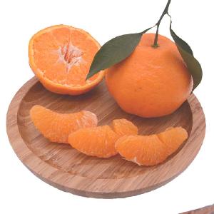 Egypt Oranges/chinese Fresh Navel Orange /Japanese hybrid orange