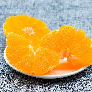2019 harvest Navel Orange best quality