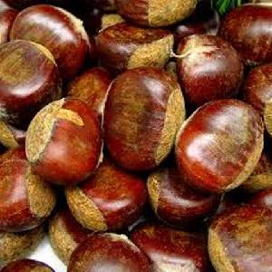 Whole organic  chestnut   roasted  shelled