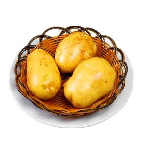 best quality Export newest potatoes fresh and clean