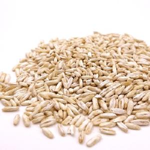 Top Grade 1 Rolled  Oats  , naked  oats / hulled   oats 