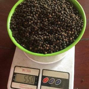 black pepper for sale good price for sale