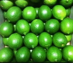  Seedless   Lime 