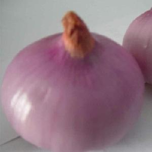 Premium Grade New Crop Mesh 100% Natural Fresh Red Onion/onions