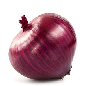 Fresh Onion/Onions Price Ton New Crop