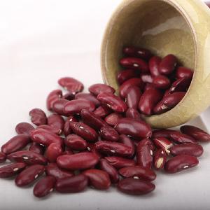 Common Cultivation Healthy New Crop Red Kidney Beans for sale