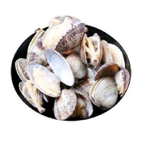 Fresh/Frozen vegetarian meat / Frozen Boiled Short Necked Clam /White clam meat