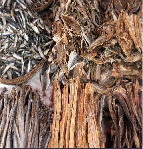 100% Dry Stock Fish / Norway Dried Stockfish by Spinel Company Limited.  Supplier from Thailand. Product Id 1324058.