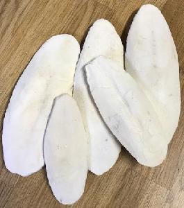 HIGH QUALITY SEAFOOD DRIED CUTTLE FISH BONE