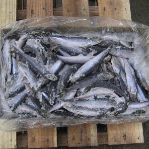 Frozen Whole Sardines Fish