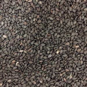 sunflower seeds type5009 market price