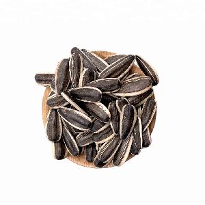 2019 crop scuffing black striped sunflower seed 363/361/601/5009/3638/3939 for sale