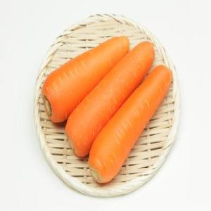 High quality fresh carrot Best price ,Available..