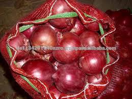 onion price ton