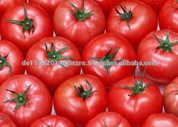farm fresh tomatoes for sale