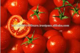 fresh green tomatoes