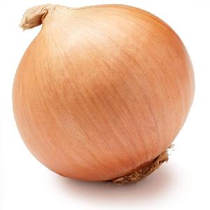 Fresh red onion best quality