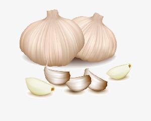4cm 5cm 5.5cm 6cm Normal White Pure White Fresh Garlic