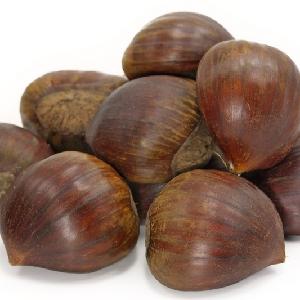 chestnuts