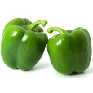 fresh bell  pepper  india/good quality capsicum/farm fresh  red   yellow  /bell  pepper  exporter