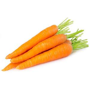 Lowest Price 2019 New Crop Fresh Carrot
