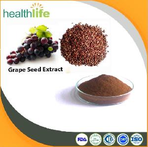 Free sample organic Grape seed extract powder