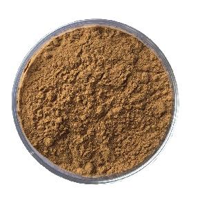 Hot Selling 100% Natural  Tribulus  Terrestris  Extract  Saponion Powder