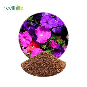 Free Shipping Hybrid Flower Seeds Petunia Seeds for Sale