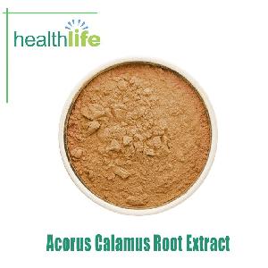 Hot Selling Natural Acorus Calamus Root Extract, Sweet Flag Powder with Ration 10:1 20:1