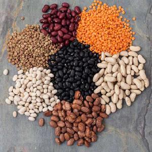 The price of Red cowpea bean Red Vigna bean with nice price wholesale