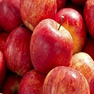 New fresh fruits red Fuji apples