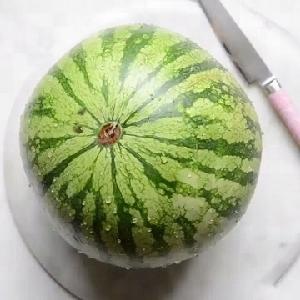 Cantaloupe Melon High Quality Fresh Water Melon