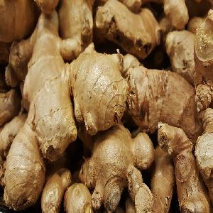 Wholesale cheap price fresh ginger from Brazil