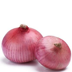 Fresh Onion (Gansu) 2018 NEW CROP HOT SALES