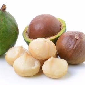 organic Macadamia nuts for sale