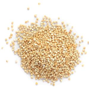 2019 Organic Quinoa Premium Quality Quinoa Grain  Conventional Quinoa From China
