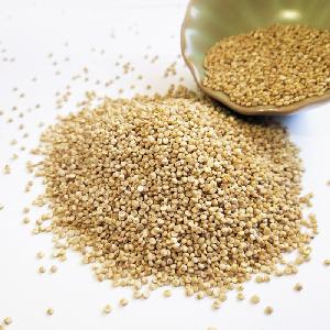 Factory Supply Quinoa  complete protein containing essential amino acids gluten-free perfect ingredient