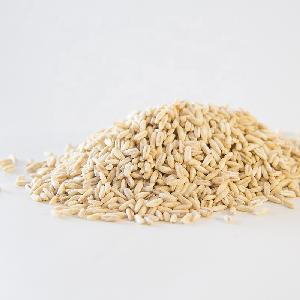 Wholesale hot sale nutuirious Factory supply high quality oats rice