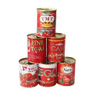 140g Canned Tomato Paste with High Quality