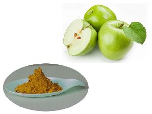Natural apple cider vinegar powder 5% apple extract