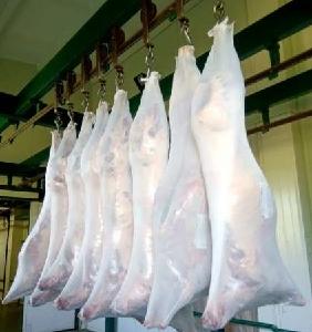 Sell Halal Fresh Chilled Top Quality Lamb, Mutton, Beef Meat from Sudan CNF