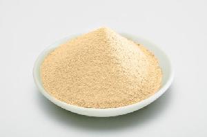 Soybean milk Powder
