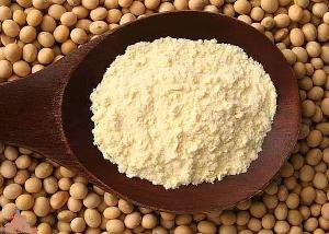 instant Soybean milk Powder