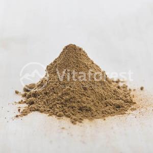Astragalus (Astragalus dasyanthus) dry extract