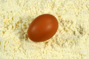 dried egg yolk powder