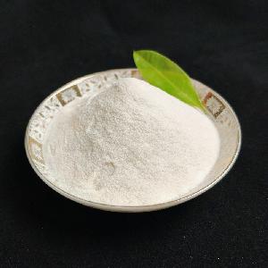 Coconut Milk Powder Vegan