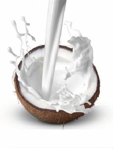 Organic Pure Coconut Milk Powder Bulk with Best Price