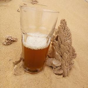 China Chunmee high quality exporting to Morocco Algeria Mauritania
