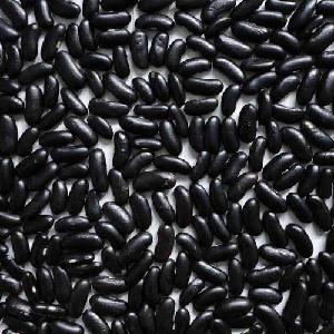Dried Black Kidney Beans (kernels In White Color)