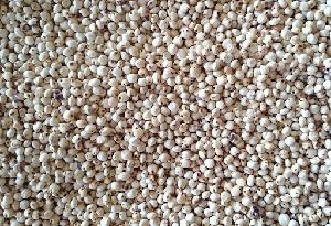 High quality wholesale bulk dried white red sorghum